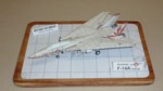 F-14 Tomcat (01).JPG

110,14 KB 
1024 x 576 
02.08.2023
